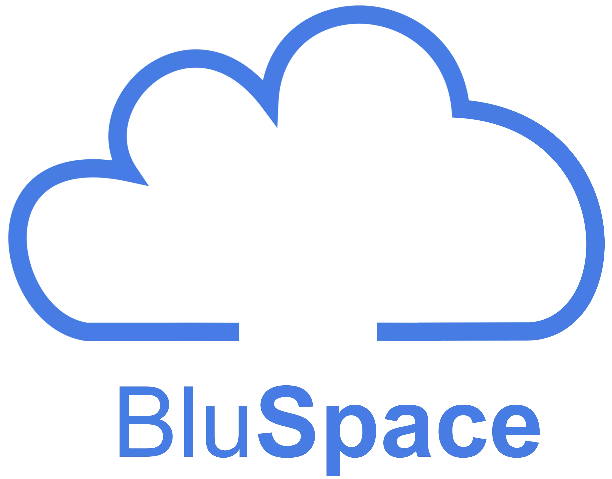 BluSpace