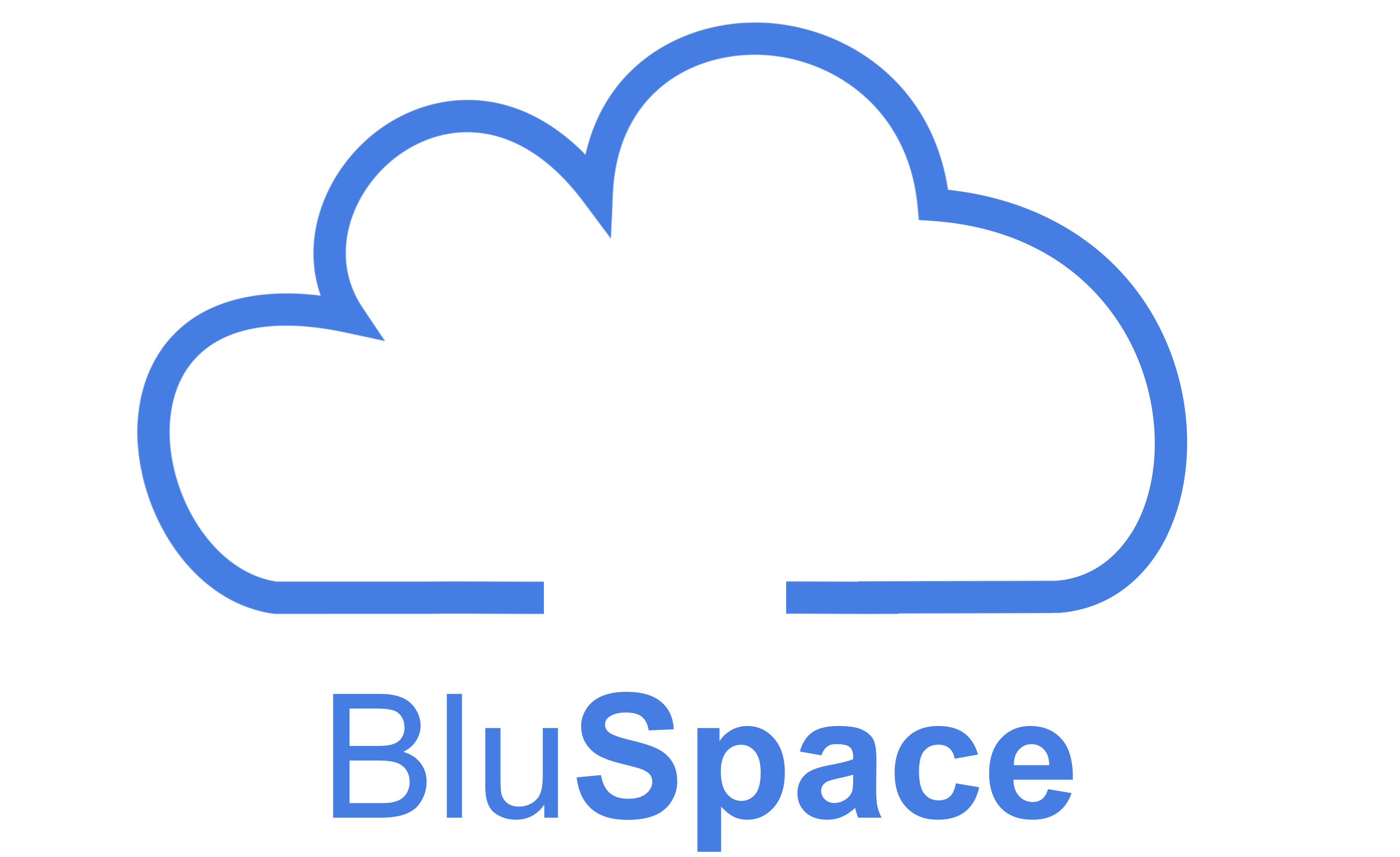 BluSpace